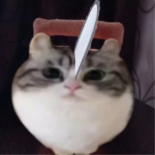 Аватар Nafigmneima